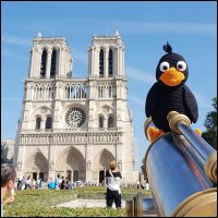 Product afbeelding Notre dame Barry patroon