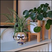 Product afbeelding plantenpopje jongen gang Plantenpopje/brilhouder patroon