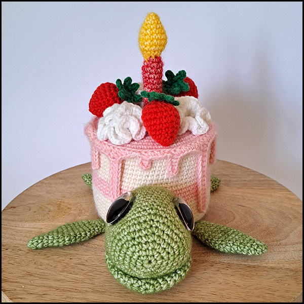 Verjaardag schildpad patroon