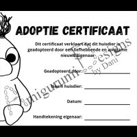 Adoptiecertificaat vierkant website Baby Barry patroon